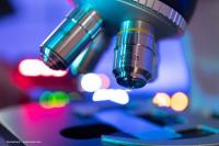 FLORetina 2025: Updates on tinlarebant in adolescent Stargardt disease