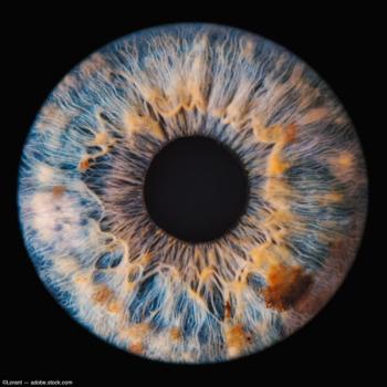 Image credit: ©Lorant – stock.adobe.com
