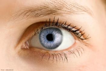 Image Credit: ©m.arc - stock.adobe.com