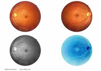 (Image credit: AdobeStock/lightmemorystock)