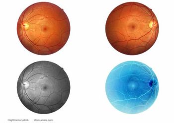 (Image credit: AdobeStock/lightmemorystock)