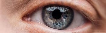 Port delivery system efficiently delivers drugs to retina in patients with wet AMD, study reports