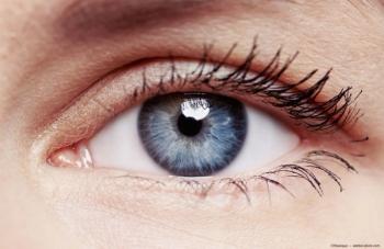 Image credit: ©Stasique – stock.adobe.com