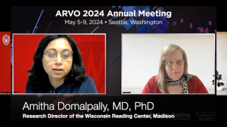 Retinal Inner Layer Disorganization and OCT in Uveitic Macular Edema: Insights from Dr. Amitha Domalpally