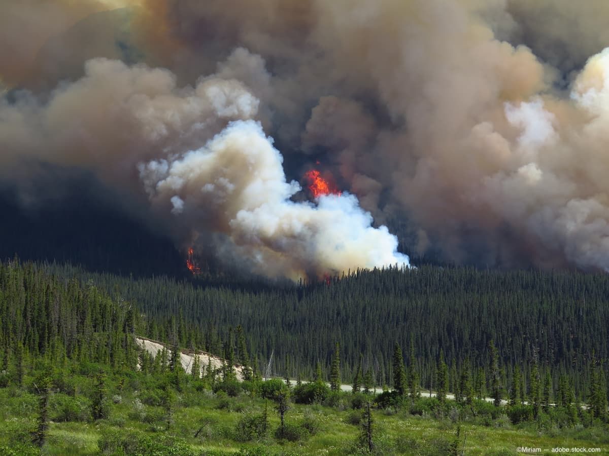 Concern over unknown long-term effects of wildfire smoke on our eyes