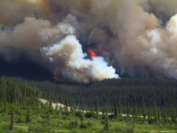 Image credit: ©Miriam - Adobe.stock.com