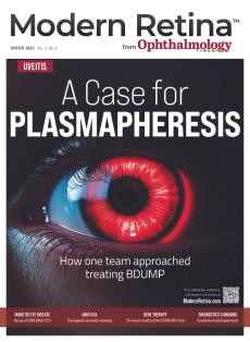 Modern Retina Winter 2023