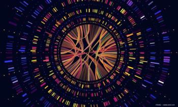 Image credit: ©Tartila – stock.adobe.com