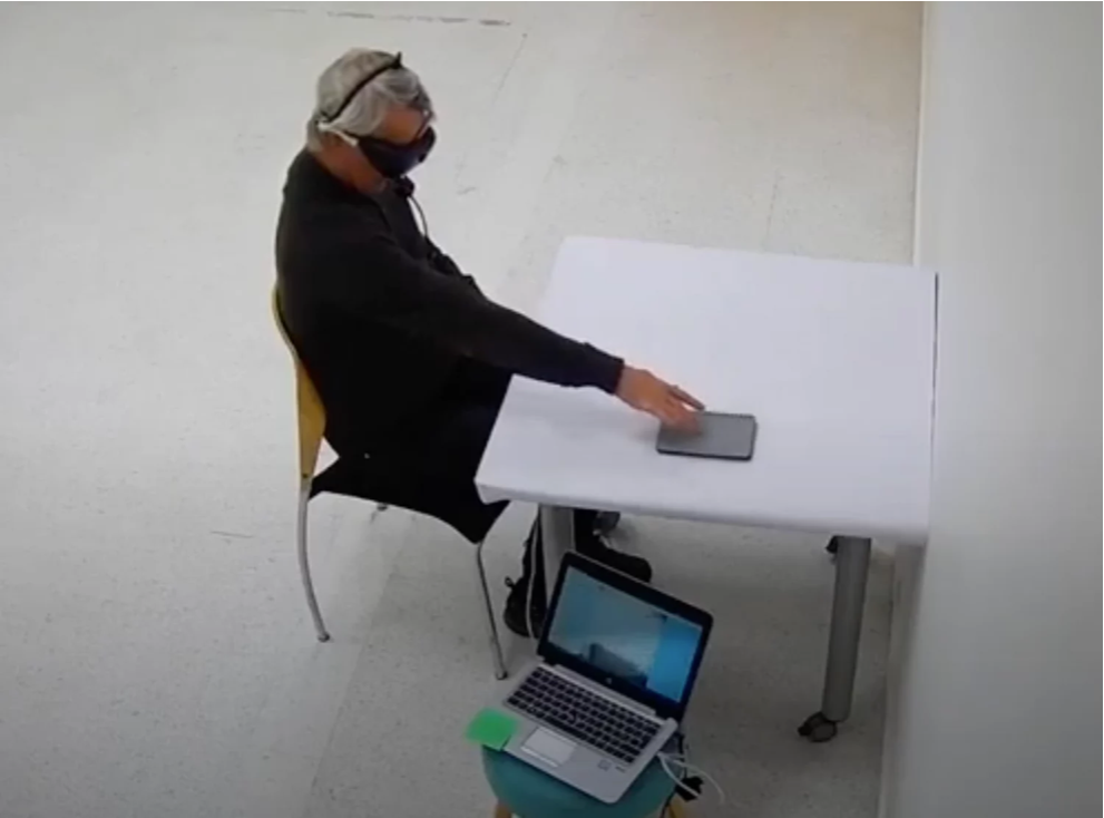 Blind patient achieves partial vision through gene therapy