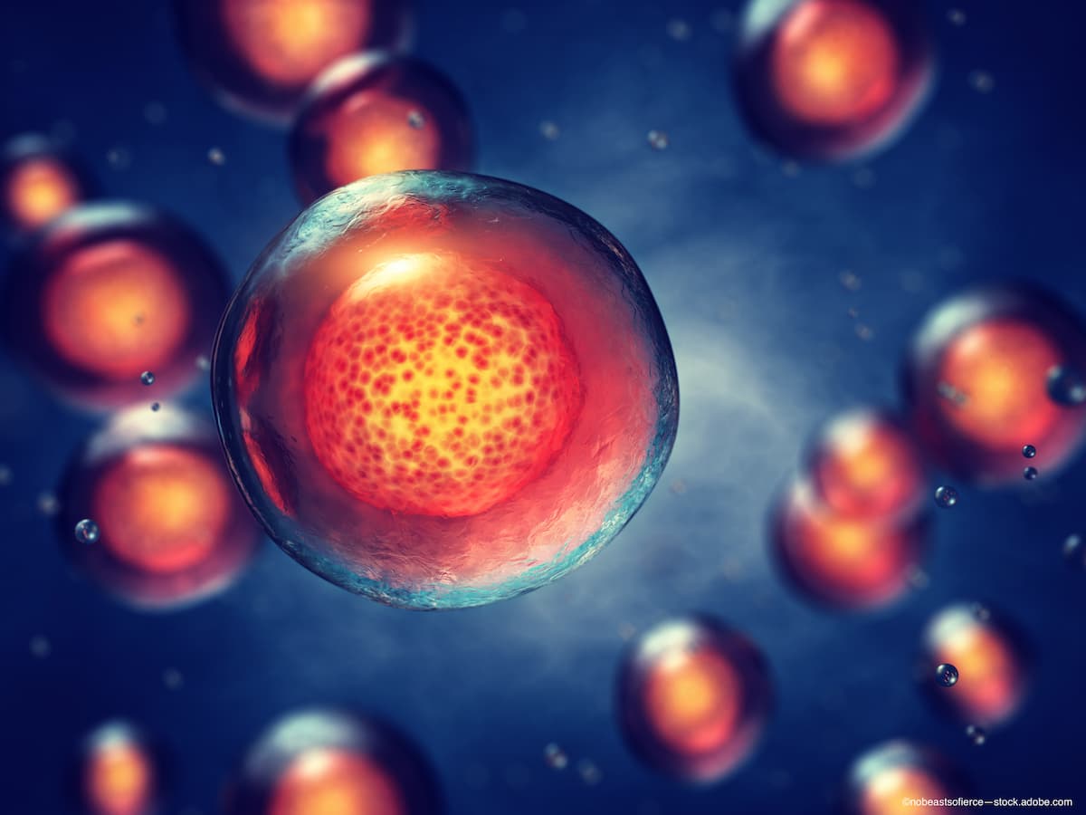 Stem cell-derived retinal implant shows long-term viability in new data from USC investigators