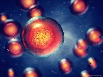 Stem cell-derived retinal implant shows long-term viability in new data from USC investigators
