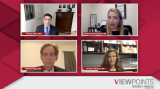 A panel of experts in macular degeneration describe a typical patient with wet age-related macular degeneration (wet AMD).