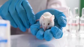 THR-687 protects diabetic rats from macular edema hallmarks