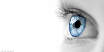 Image Credit: ©Philip Steury  - adobe.stock.com