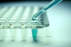 stem cell therapy
