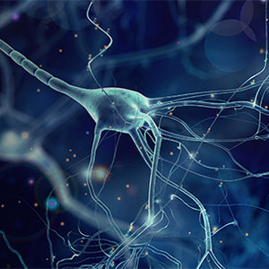 CGRP: Paving the Path to Migraine and Its Treatment