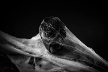 ©FernandoCortes/Shutterstock