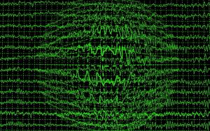 “©xpixel/Shutterstock.com”