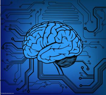 brain circuitry