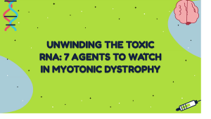 Myotonic Dystrophy Awareness Day: Overviewing Emerging Therapies