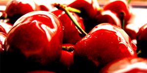 Nutrition: What Role in Preventing or Delaying Progression of Parkinson Disease?