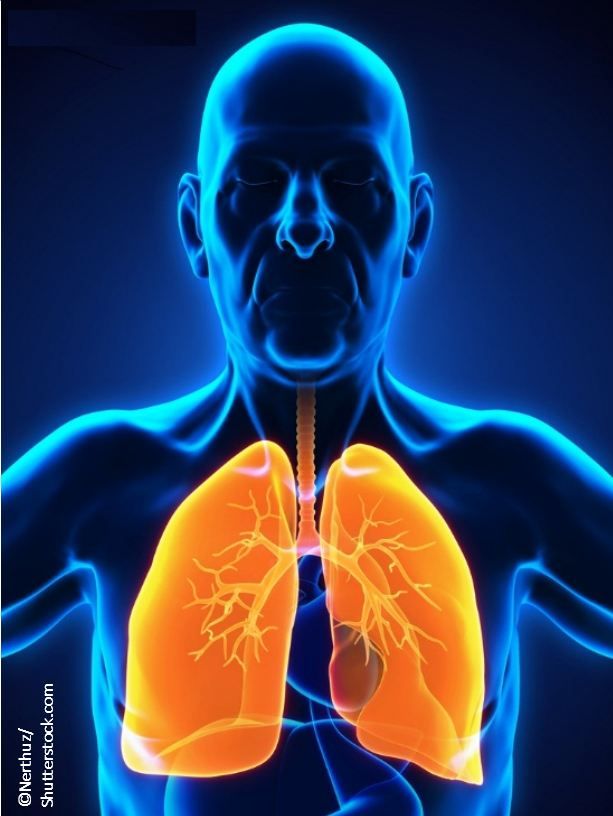 ©Nerthuz/Shutterstock