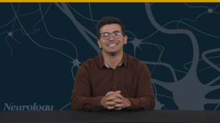 CNM-Au8 Improves Survival in ALS, New Parkinson Risk Factor Identified, Pamrevlumab Falls Short in Phase 3 Study