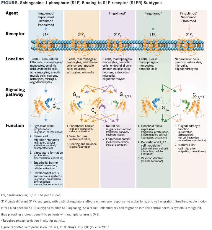 S1P Receptor Modulation in Multiple Sclerosis
