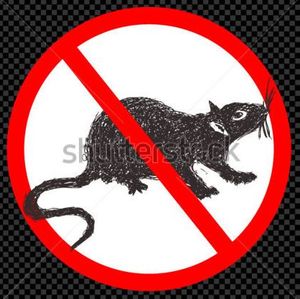 Alzheimer Disease: 2 New Studies with Practical Implications 