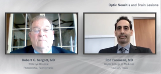 Optic Neuritis and Brain Lesions