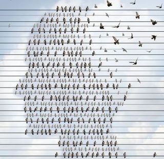 Retinal Signs and Cognitive Decline Over 20 Years