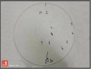 Dysexecutive Syndromes: What's in a Drawing?