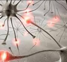 SPECT, PET Predict Epilepsy Outcomes After Surgery