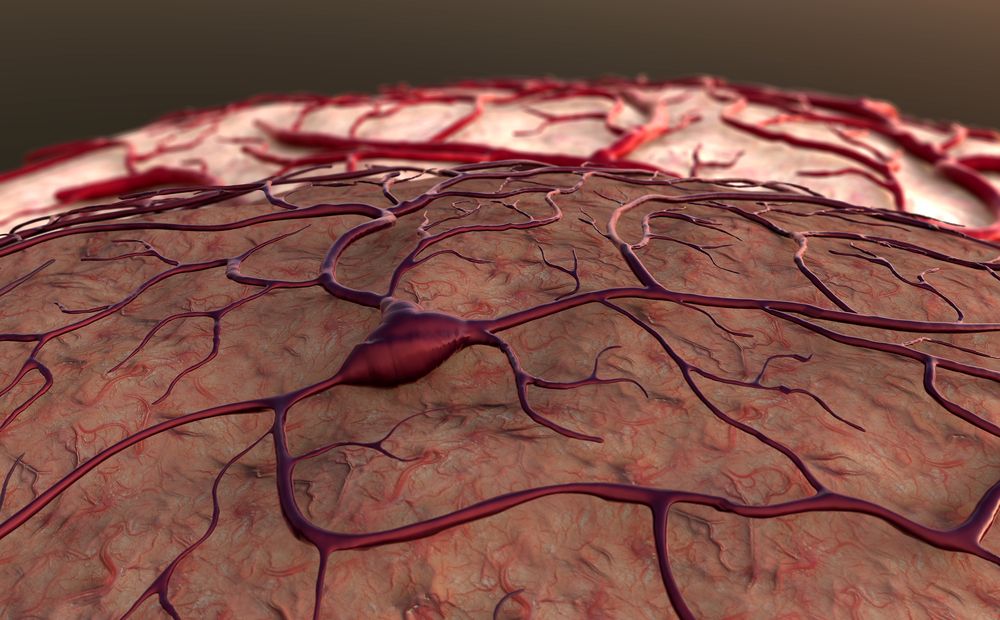 ©UGREEN/Shutterstock.com