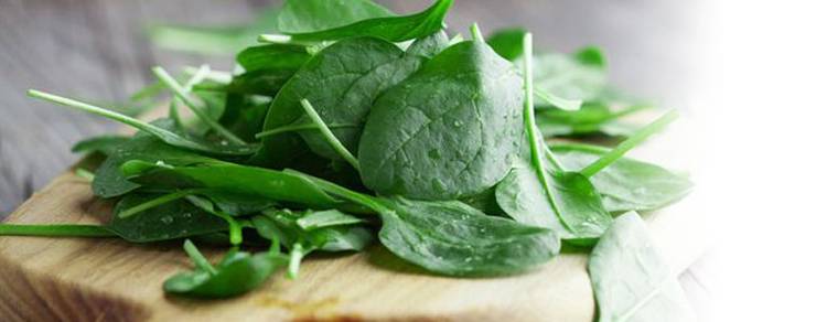 Nutritionist Hero