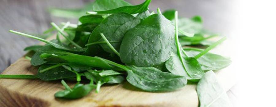 Nutritionist Hero