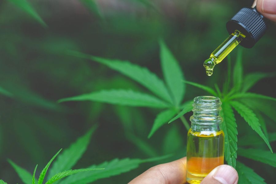 Everything You Need to Know About CBD According to an Expert