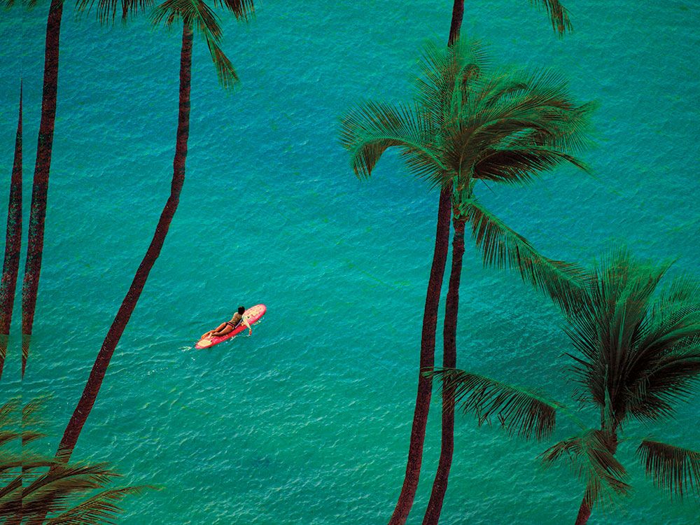 hawaiiangettyimages 88011218 2048x2048