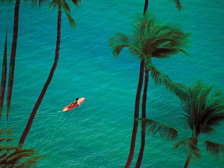 hawaiiangettyimages 88011218 2048x2048