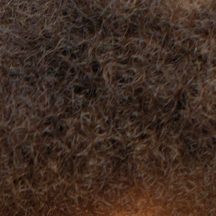 Type 4C Hair