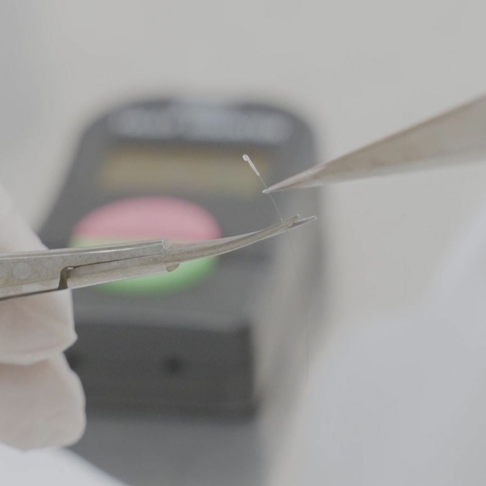 Storing Cells for Future Treatments