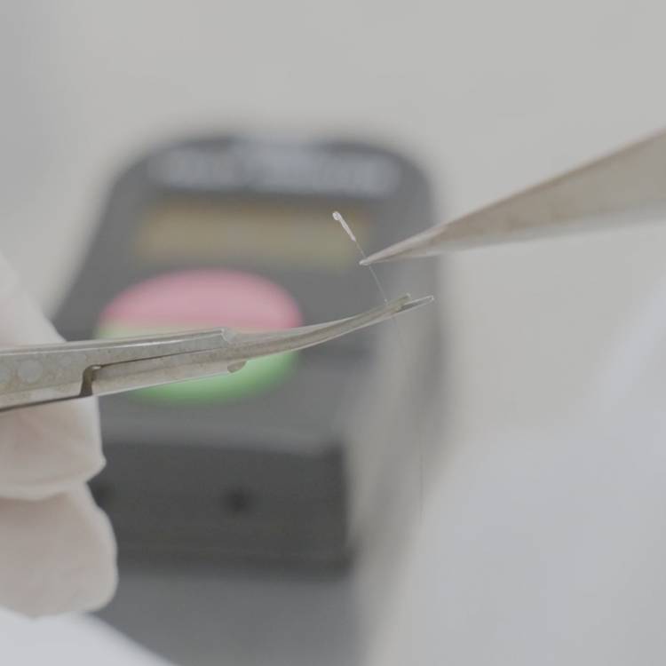 Storing Cells for Future Treatments