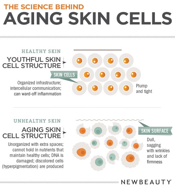 Aging_Skin_Infographic