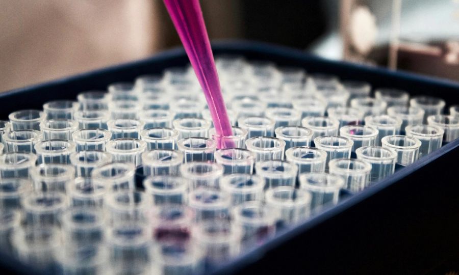 lab vials