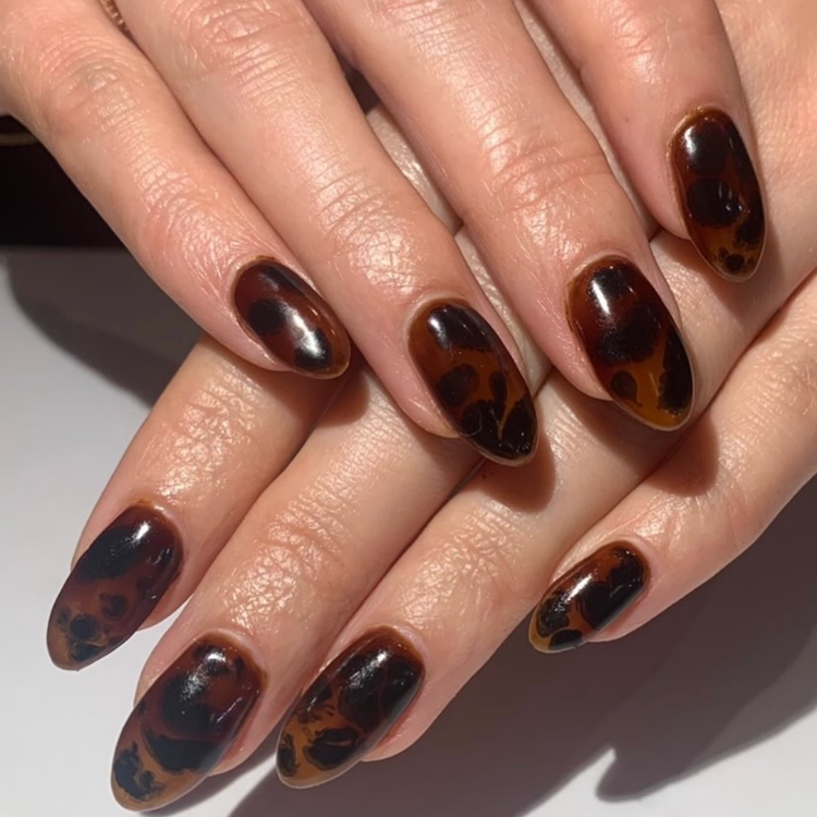 Espresso Torties