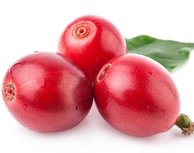 Coffeeberry