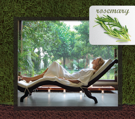 Fresh From the Garden