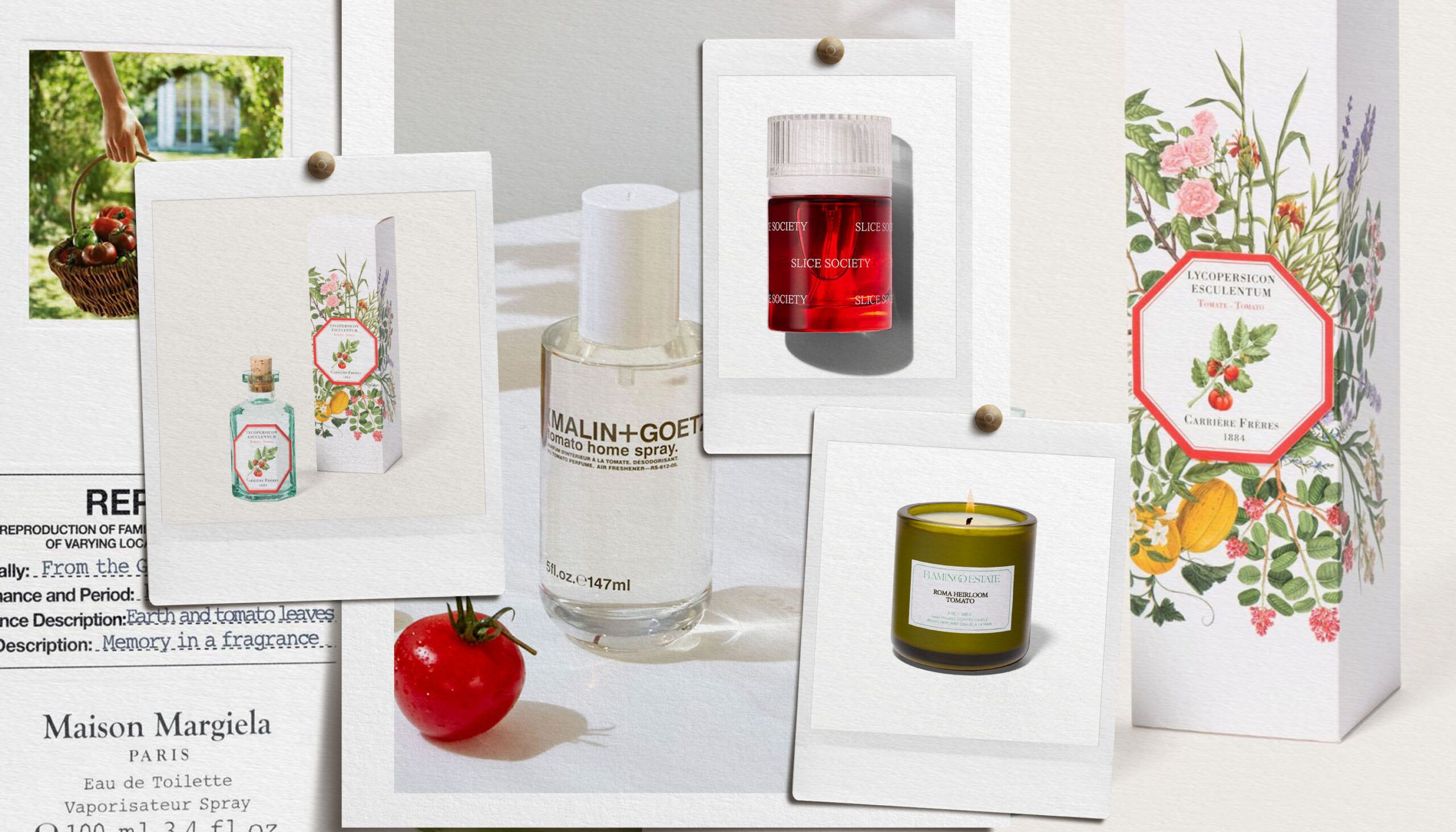 Collage of tomato scents from Maison Margiela, Snif Slice Society, Flamingo Estate and more