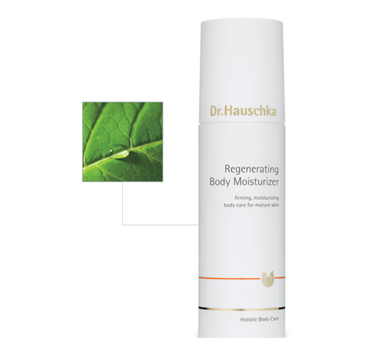 Rejuvenates Aging Skin