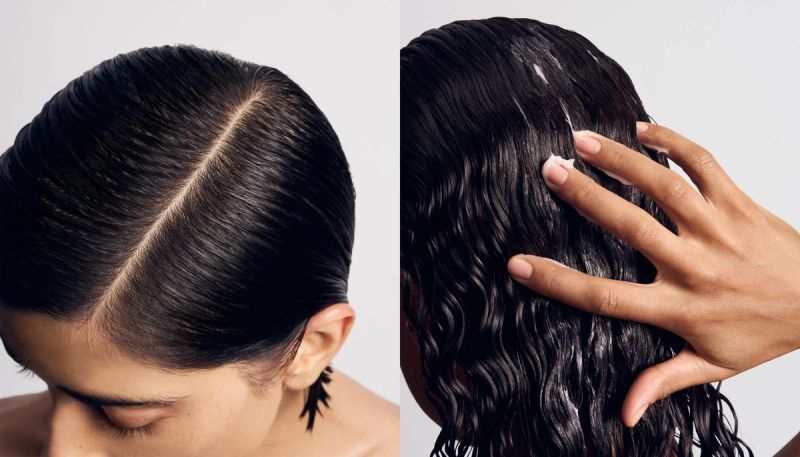 the root project clean canvas